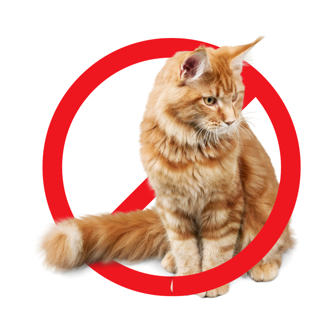 Amici a quattro zampe: convivenza pacifica o problemi in arrivo? Scopriamo come gestire gli animali in condominio!