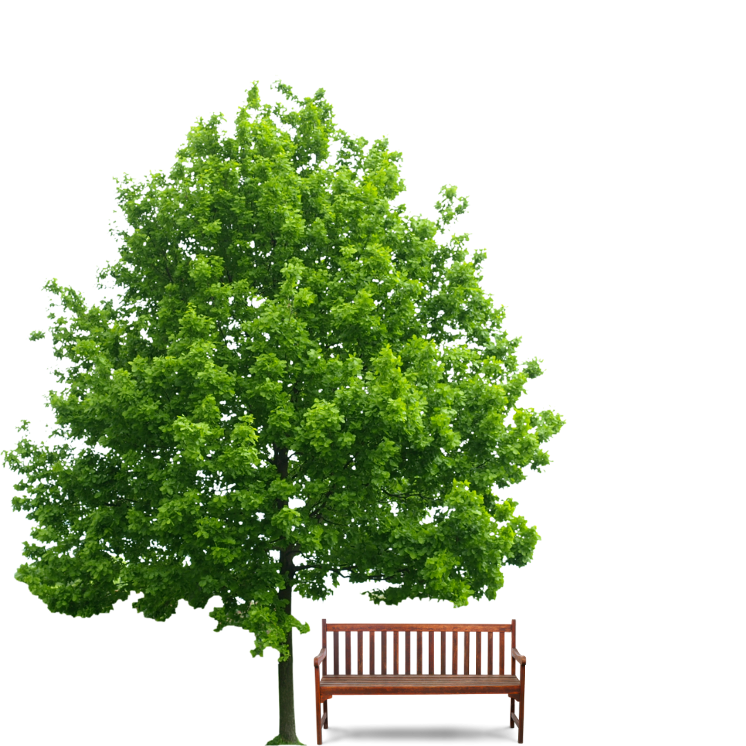 Le parti comuni in condominio